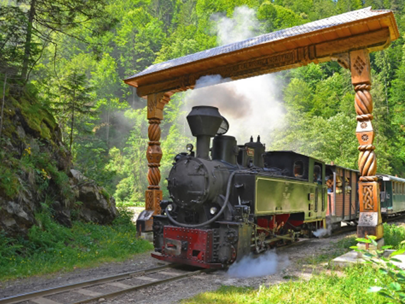 Locomotiva cu abur a Mocăniței trecând pe sub o poartă maramureșeană sculptată